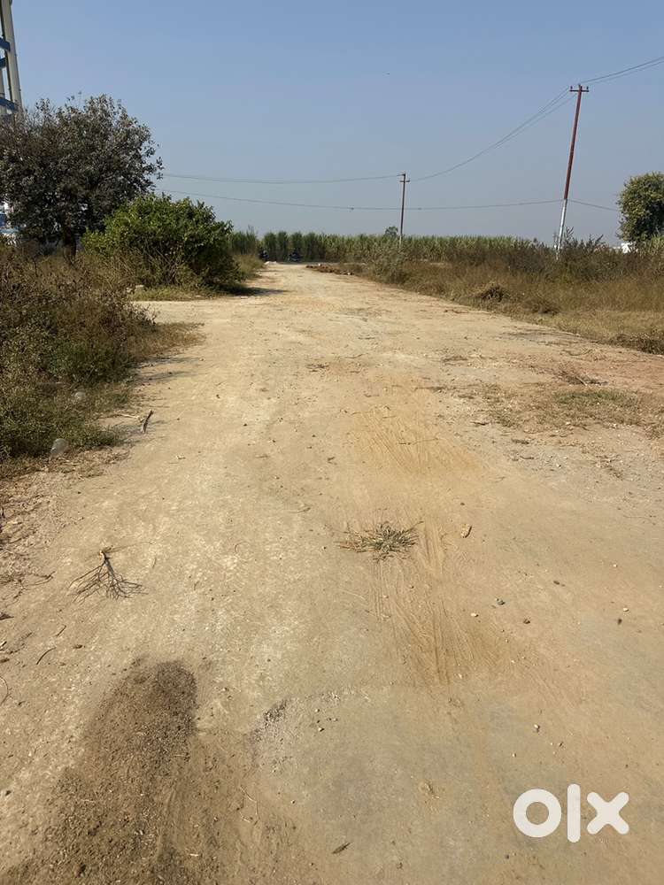 प्लाट ख़रीदे 20 फीट के रोड पर