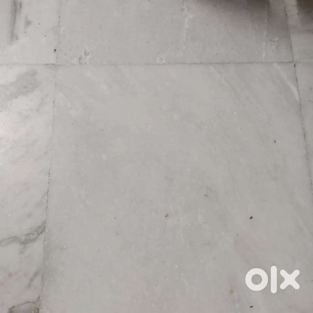 Cook required for street vending food shop