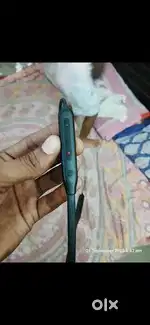 ONEPLUSE HEADPHONE NEW 2 MONTH OLD