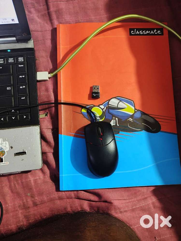 Reliable HP Laptop - Perfect for School/Work (Win 10 Pro)