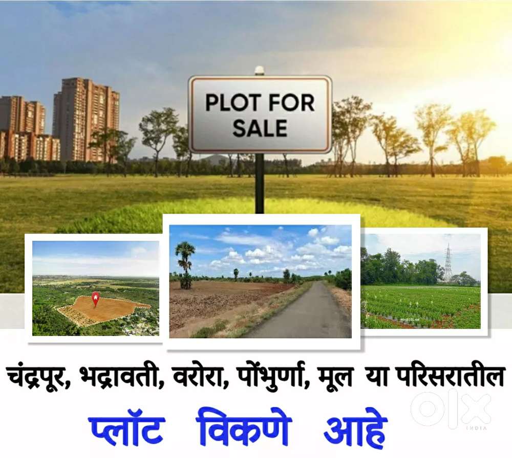 Kheti, Plot, Flat, Duplex, Banglow For Sale