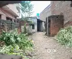 Selling land  in Godda ( Shivpur Mohalla