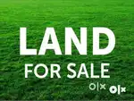 19 acre parambu for sale near alathur palakkad