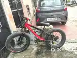 Fat bike and steel frame