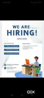 Marketing Executive