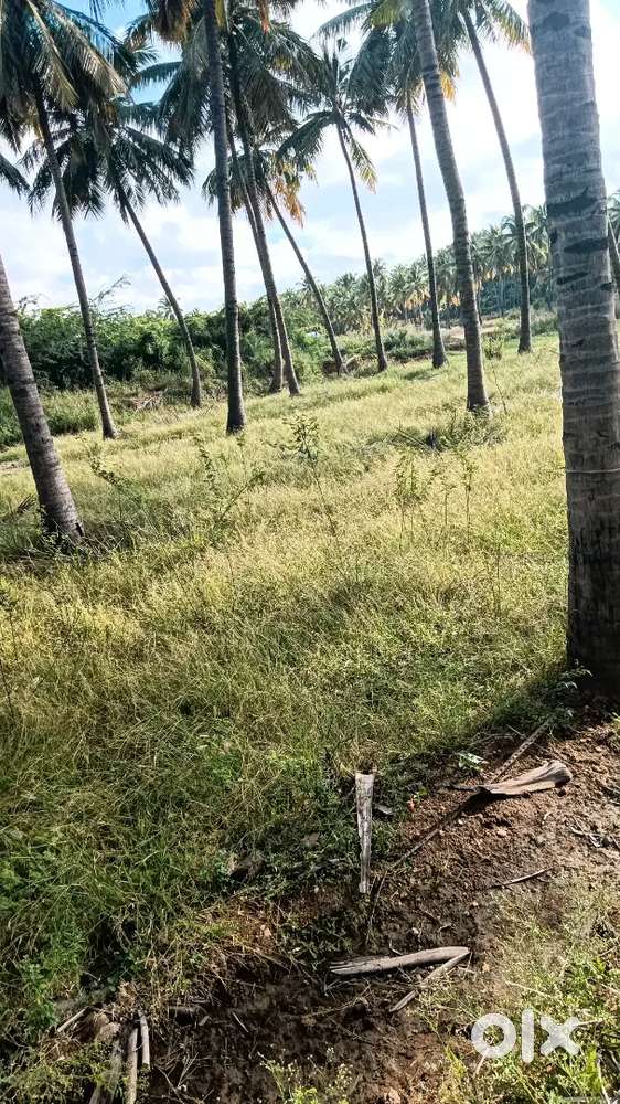 farming rent monthly