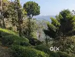 Land for sale 75 cent