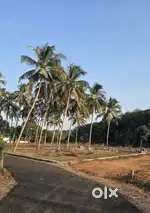 Best Residential Plots For Sale In Thrissur