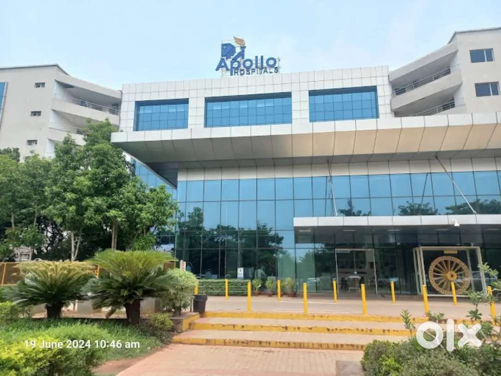 Who looking freshers ready for work  only for girls