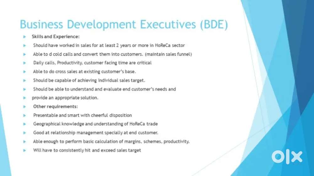 Business development executive