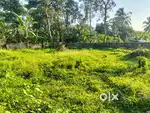 13.5 cent plot for sale near Eraviperoor