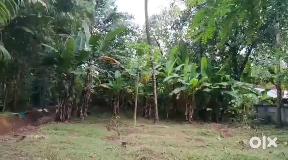 Plot for sale