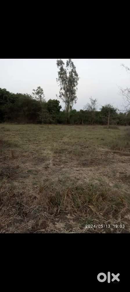 Agriculture zameen