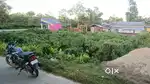 Azad road, Doomdooma