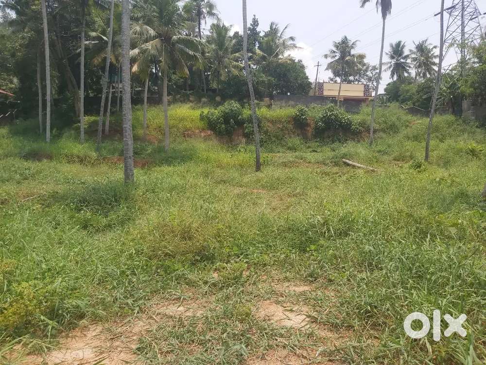 6 cents land for sale.