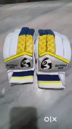 Cricket kit Cricket gloves and leg pad