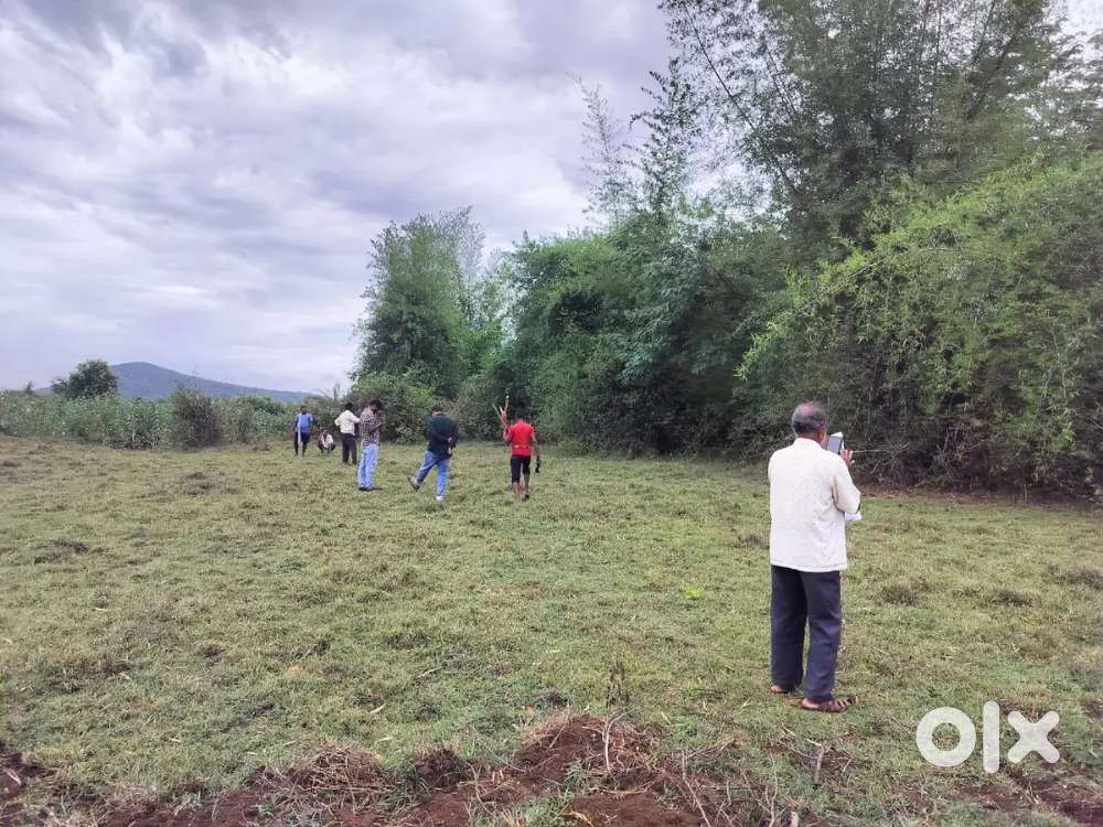 Land Lease for Rent farming, warehouse  Raghunathpur ,khordha