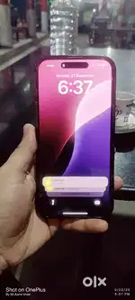 16 pro max