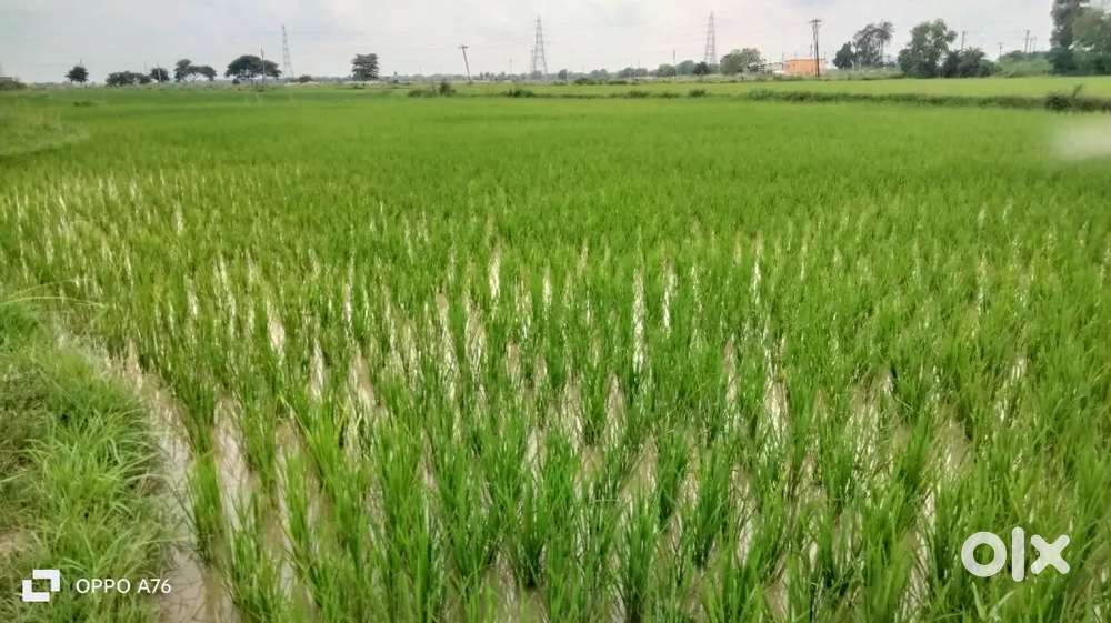 Land property