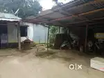 Full land ,house,Gate,Water pump all thing