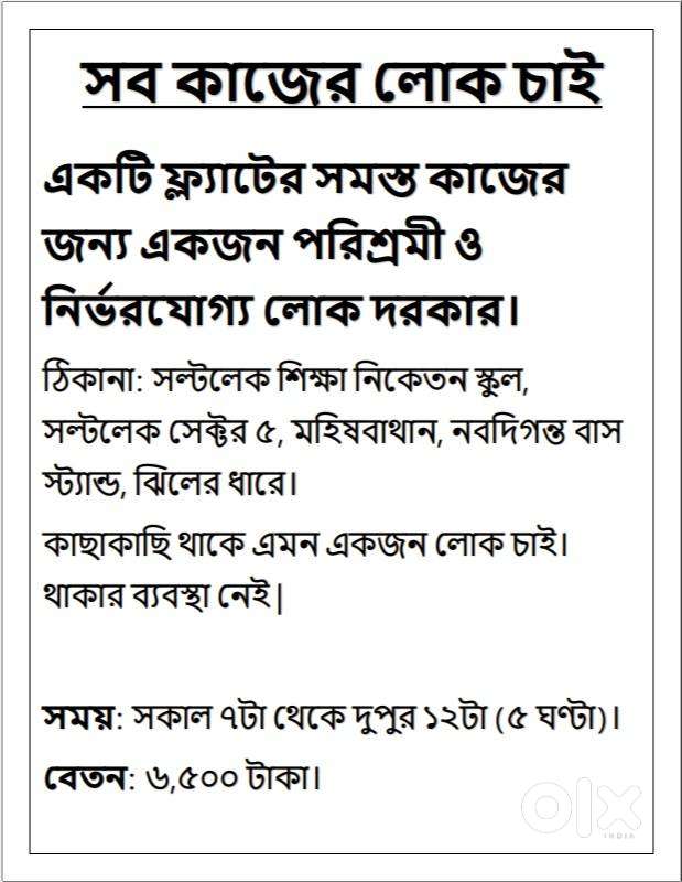 একটি ফ্ল্যাটের সমস্ত কাজের জন্য একজন পরিশ্রমী ও নির্ভরযোগ্য লোক দরকার