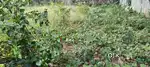 10 CENT PRIME RESIDENTIAL PLOT FOR SALE NEAR PATTOM