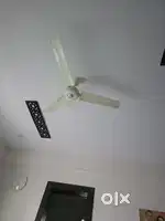 Ceiling Fan