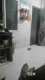 Rent for 1RK