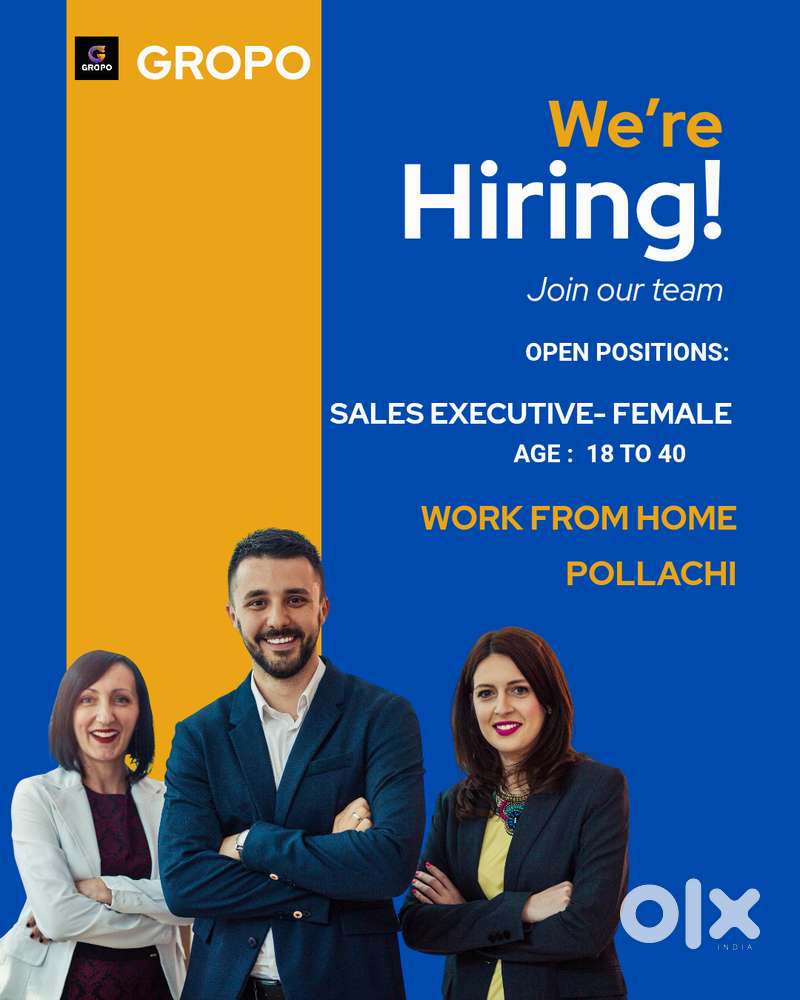 Sales Executive - Pollachi Work from Home(Female only)