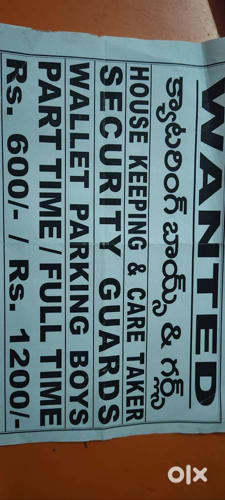 Catering boys and girls wanted