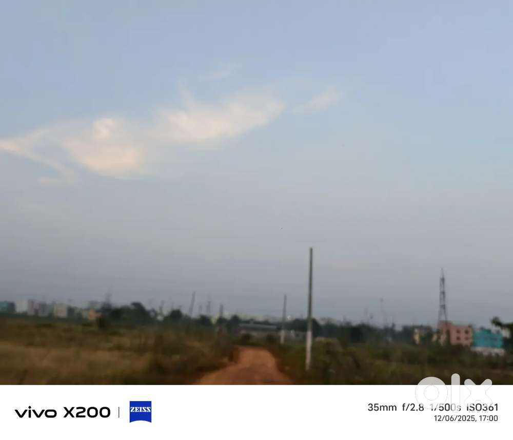 Allms hospital back side