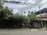 Kaloor 5cent Commercial plot for sale