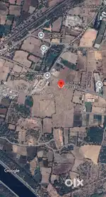 25 vigha land for sell at jamiyatpura