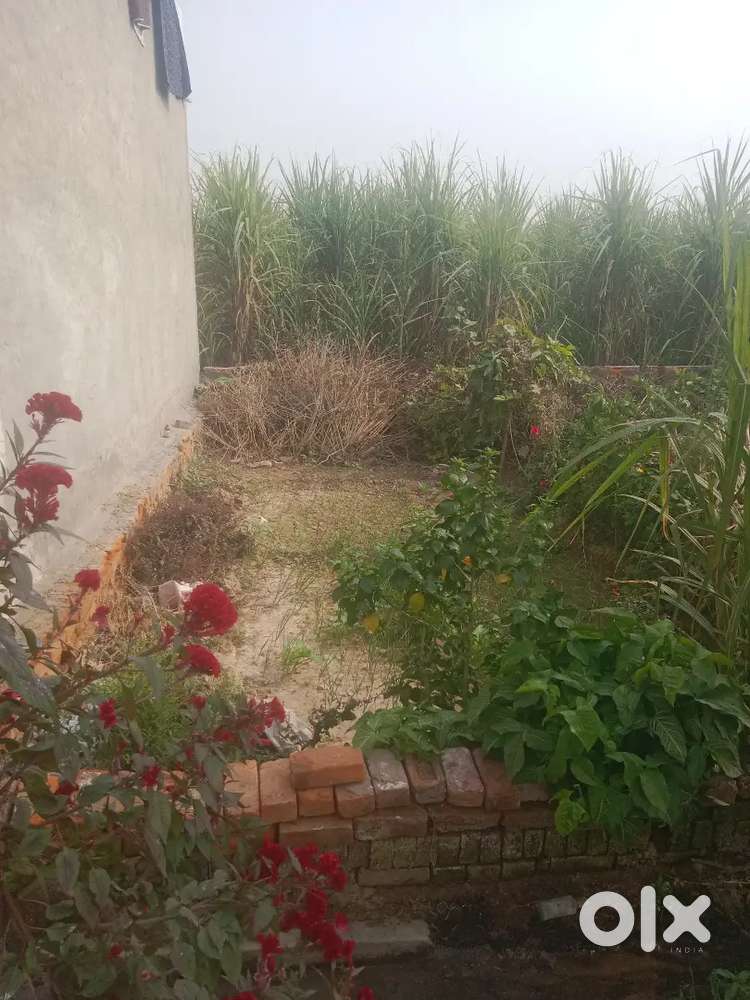 Urgent selling this plot by owner