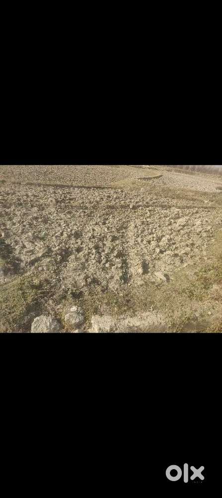 It's agricultural land