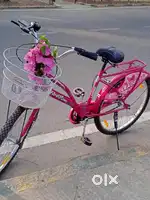 Bicycle from leader brand