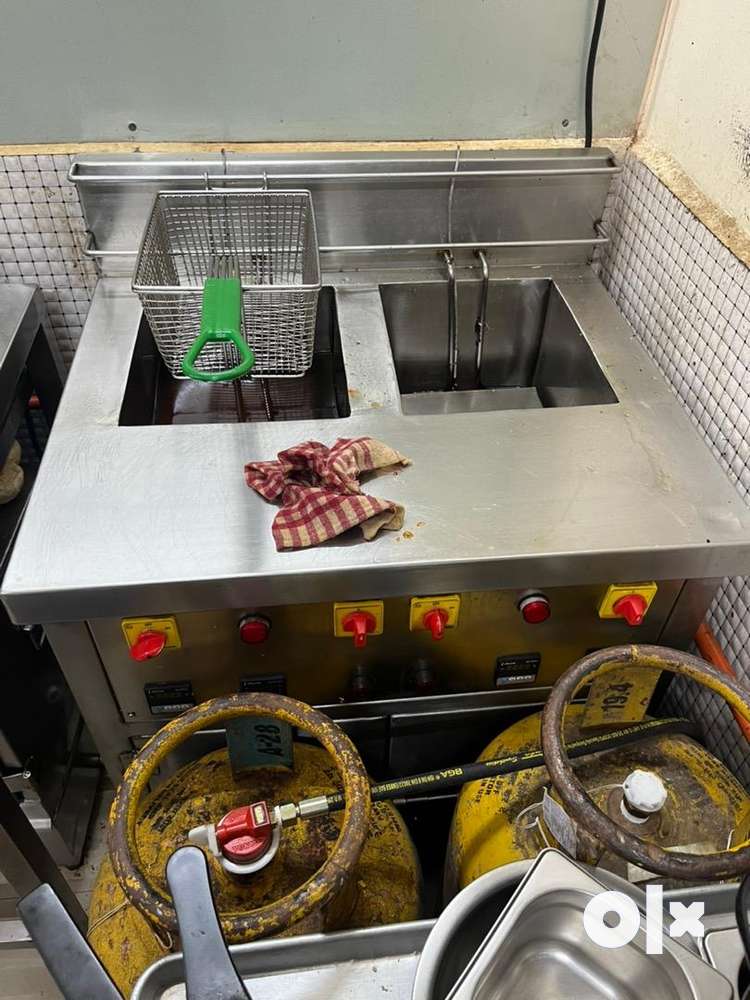 Electric fryer for restaurant and cafe