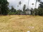 Beautiful Scenic Riverfront Tar Road Access Square Plot Property