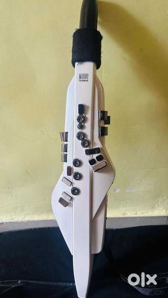 Aerophones instrument