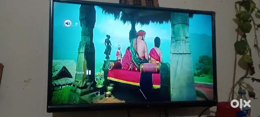 24 inches TV & airtel hd Dolby audio Dth with antina and remote