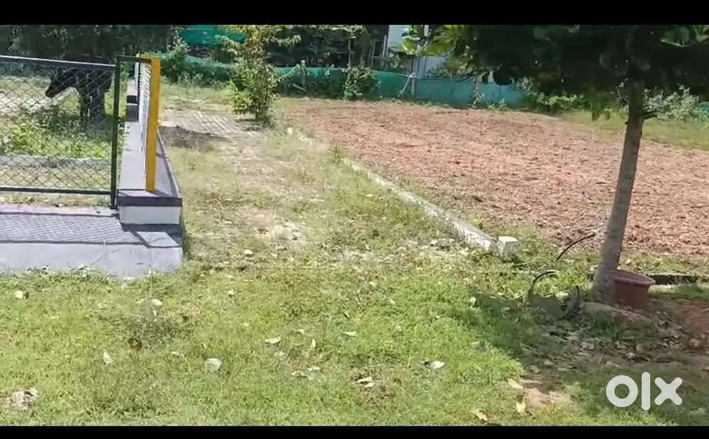 North face, 40×60 plot for sale, below market price