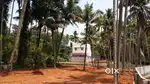 10 cent plot for sale
