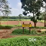 Farm Land for Sale!  - Location: Sasalu hobli, Doddabalapura- 25 gunta