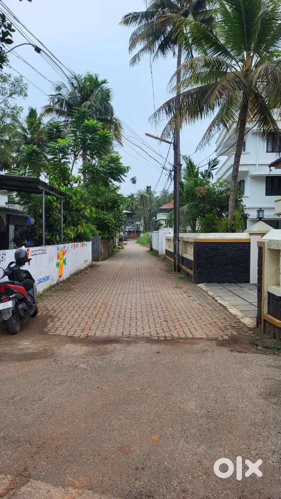 Tripunithura near SN junction 6.25 cent purayidam land 15L/cent