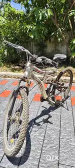 Roadeo Cycle