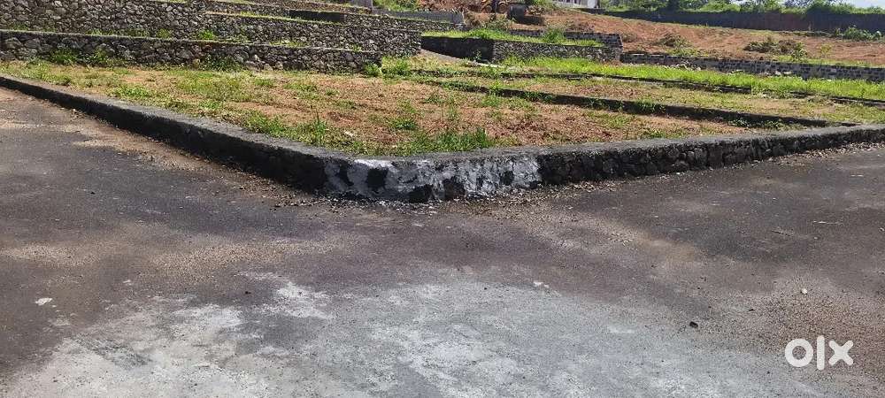 4,5,6,7, 10 cent house plot near pukkattupady busroot 100mtr