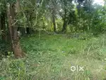 10 Cent Plot at Poomangalm