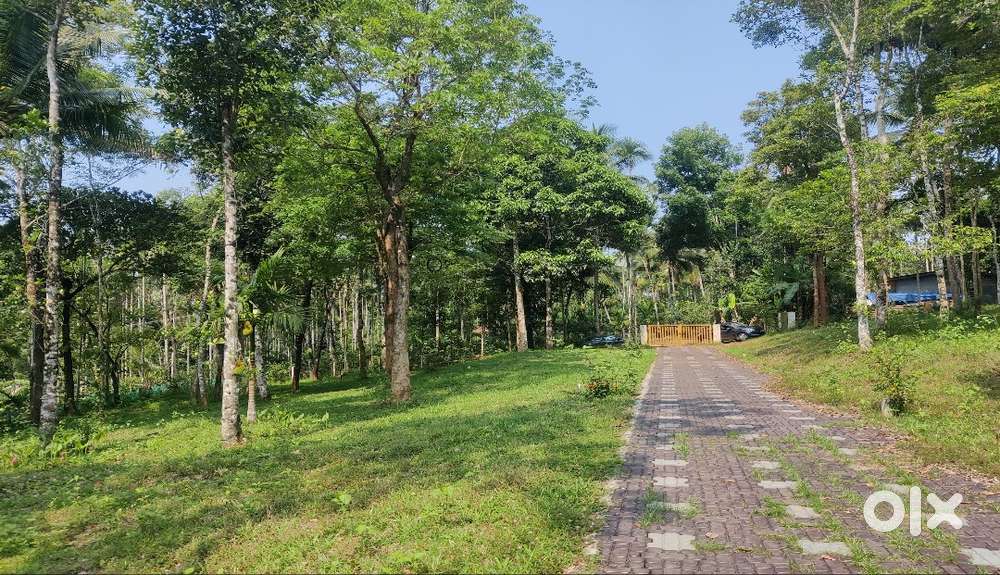 House Plots at  ₹70,000 per Cent near Kenichira Town