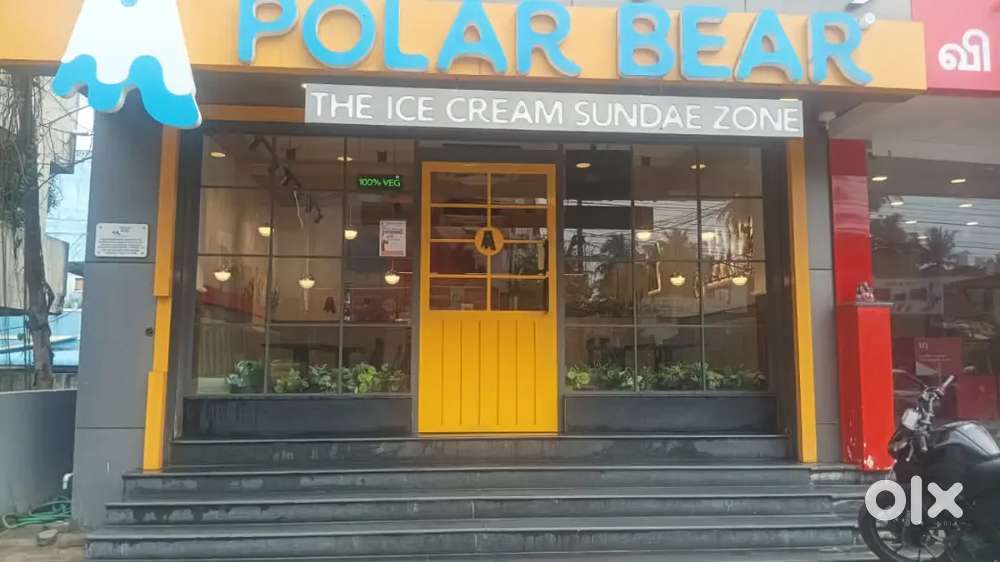 Polar bear ice cream shop