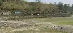 Plot  for sale At Bhauwala dehradun